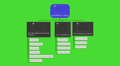 Mind Map: EMPRESAS Y MAS