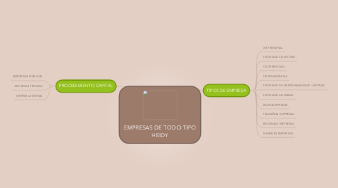 Mind Map: EMPRESAS DE TODO TIPO HEIDY