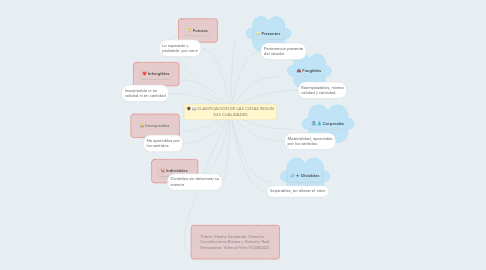 Mind Map: CLASIFICACION DE LAS COSAS SEGUN SUS CUALIDADES