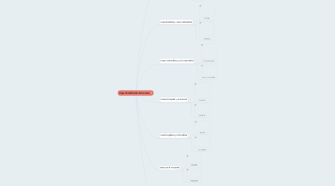 Mind Map: Copy of clasificación de las cosas