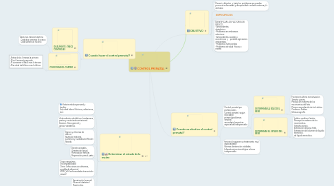 Mind Map: CONTROL PRENATAL