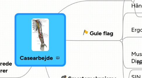 Mind Map: Casearbejde