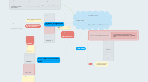 Mind Map: Sistema Endocrino