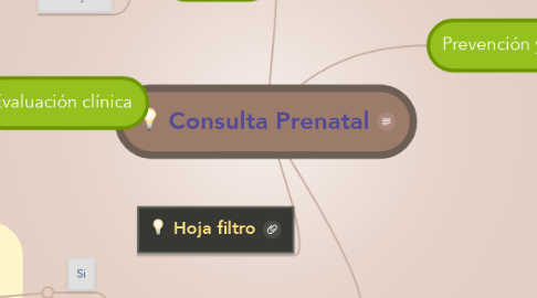 Mind Map: Consulta Prenatal