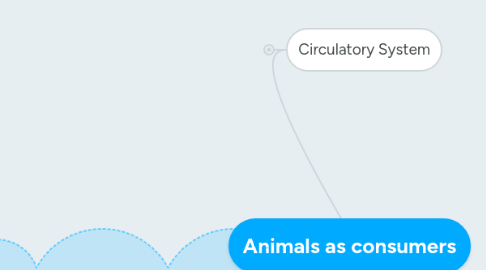 Mind Map: Animals as consumers