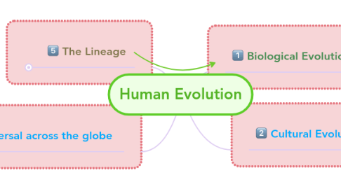 Mind Map: Human Evolution