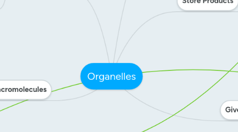 Mind Map: Organelles