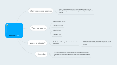 Mind Map: Es su vida