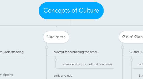 Mind Map: Concepts of Culture