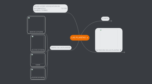 Mind Map: LAS PLANTAS