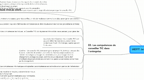 Mind Map: UE317. Le Conseiller TIC