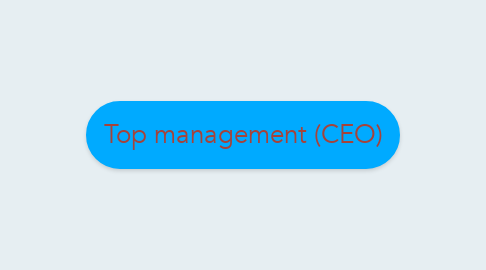 Mind Map: Top management (CEO)