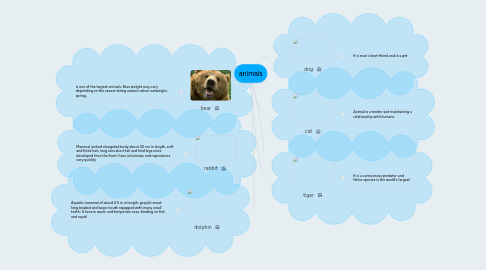 Mind Map: animals