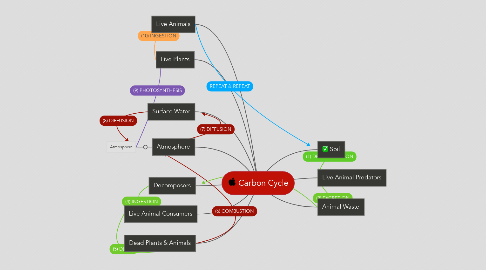 Mind Map: Carbon Cycle