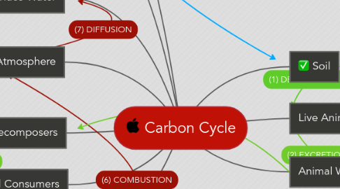 Mind Map: Carbon Cycle