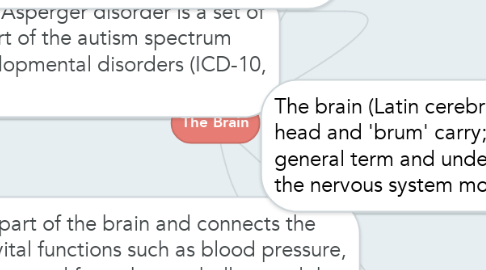 Mind Map: The Brain