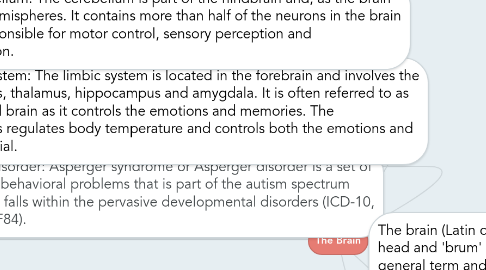 Mind Map: The Brain