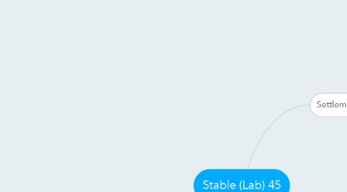 Mind Map: Stable (Lab) 45