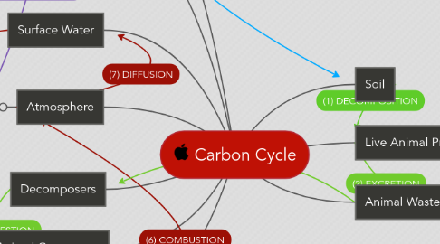 Mind Map: Carbon Cycle