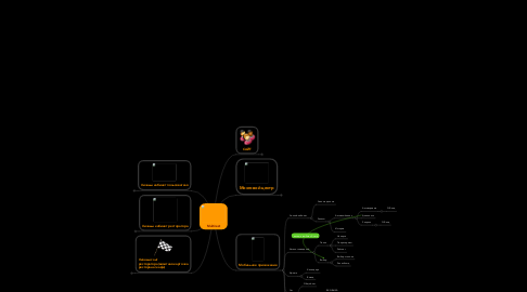 Mind Map: Multirest