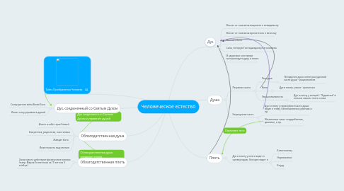 Mind Map: Человеческое естество