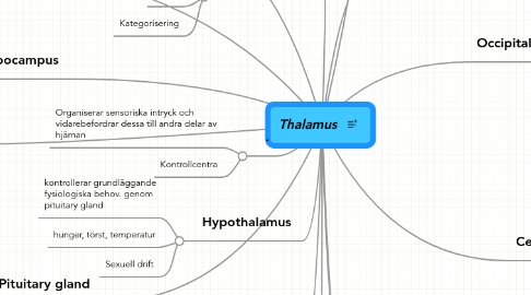 Mind Map: Thalamus