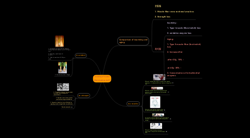 Mind Map: <Inactivity of muscle>  What should we do???