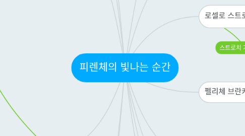 Mind Map: 피렌체의 빛나는 순간