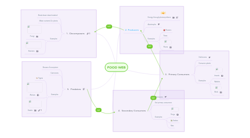 Mind Map: FOOD WEB