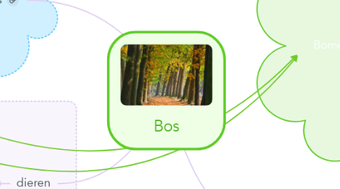 Mind Map: Bos
