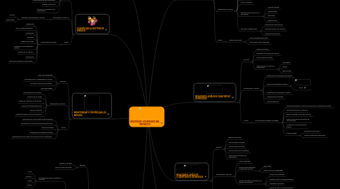 Mind Map: GESTIÓN DE LOS RIESGOS DEL PROYECTO