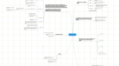 Mind Map: Exchange Surfaces