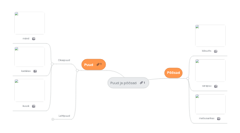 Mind Map: Puud ja põõsad