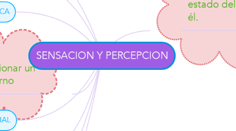 Mind Map: SENSACION Y PERCEPCION
