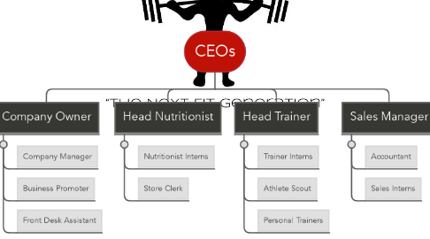 Mind Map: CEOs