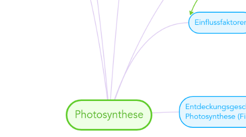 Mind Map: Photosynthese