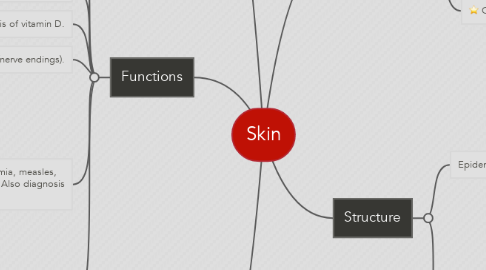 Mind Map: Skin
