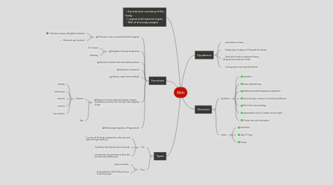 Mind Map: Skin