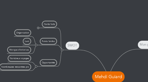 Mind Map: Mehdi Guiard