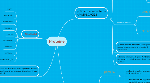 Mind Map: Proteine