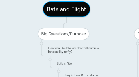 Mind Map: Bats and Flight