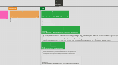 Mind Map: Leucopoyesis