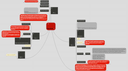 Mind Map: Mapa Mental