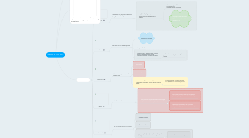 Mind Map: MEDIOS FISICOS