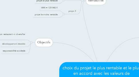 Mind Map: choix du projet le plus rentable et le plus en accord avec les valeurs de l'entreprise