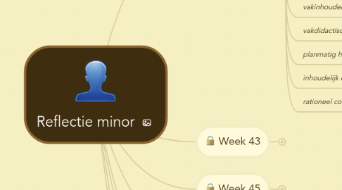 Mind Map: Reflectie minor