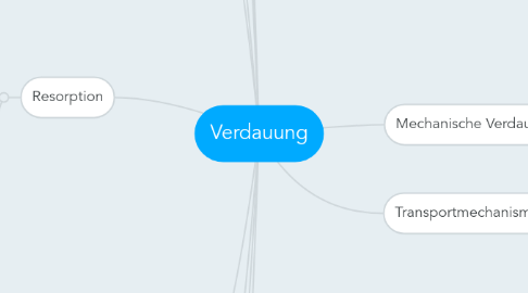 Mind Map: Verdauung