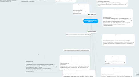 Mind Map: PROCESOS COGNITIVOS BÁSICOS