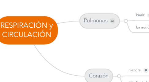 Mind Map: RESPIRACIÓN y CIRCULACIÓN