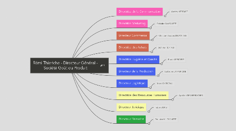 Mind Map: Rémi Thieriche - Directeur Général - Société Goût du Produit